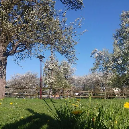 Haus Apfelbluete 아파트 *