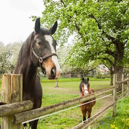 Haus Apfelbluete Apartament