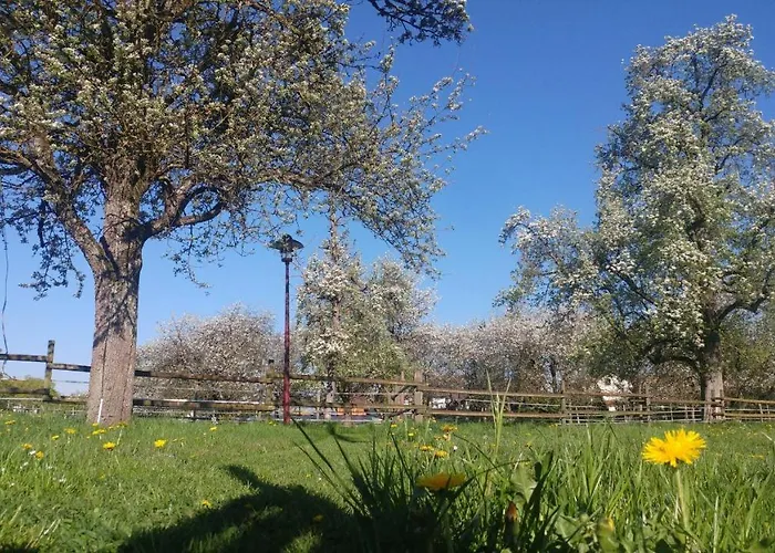 Haus Apfelbluete Lejlighed *