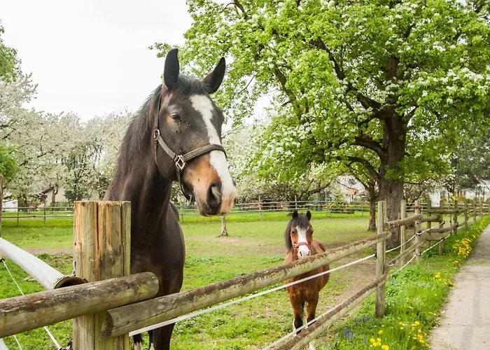 Haus Apfelbluete Appartement
